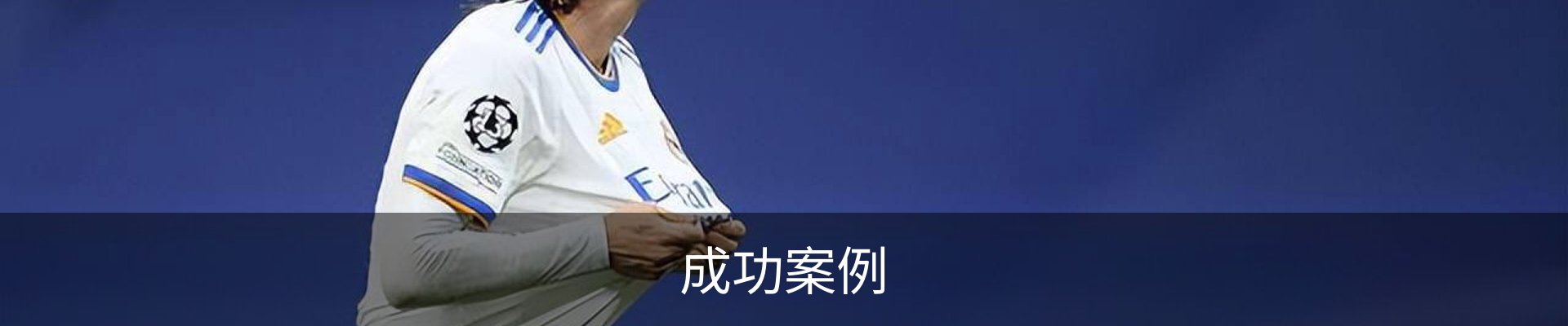 成功案例