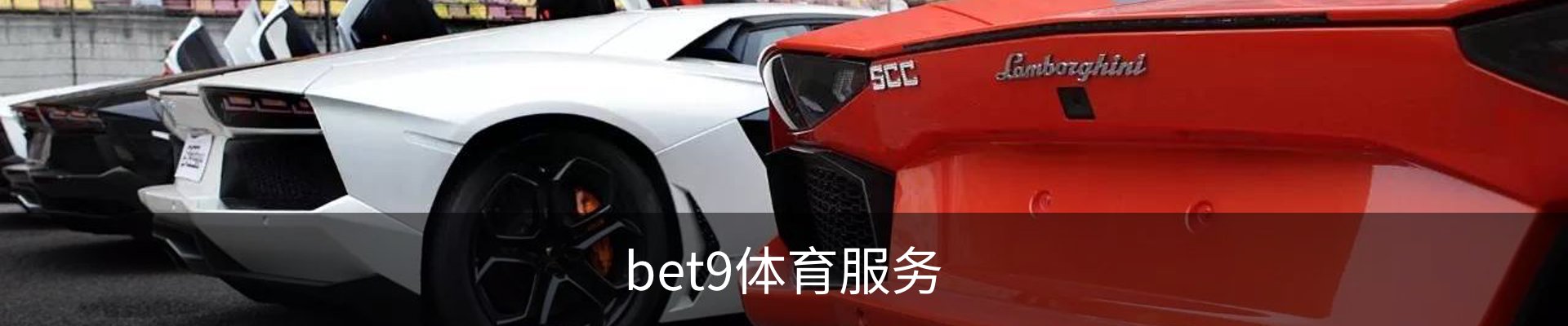bet9体育服务